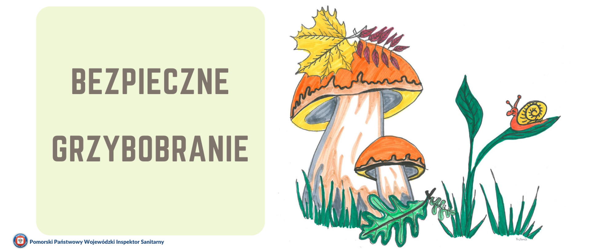 Bezpieczne grzybobranie