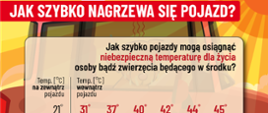 Jak przygotować się na upały