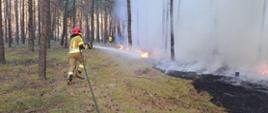 Pożar lasu