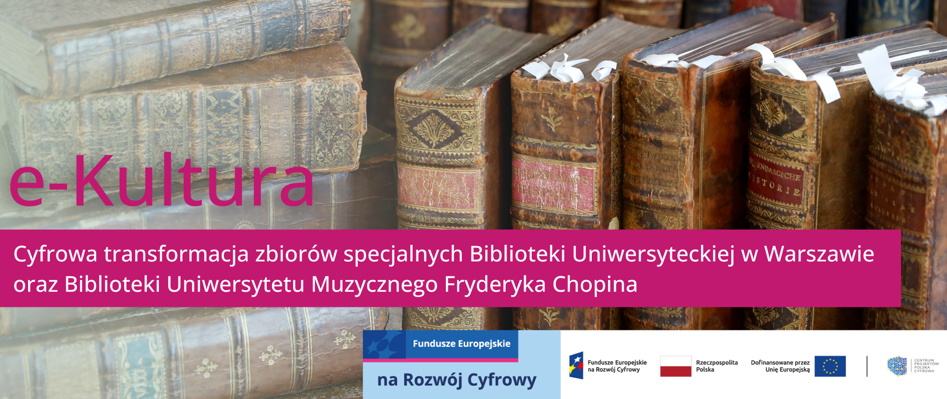 dekoracyjny