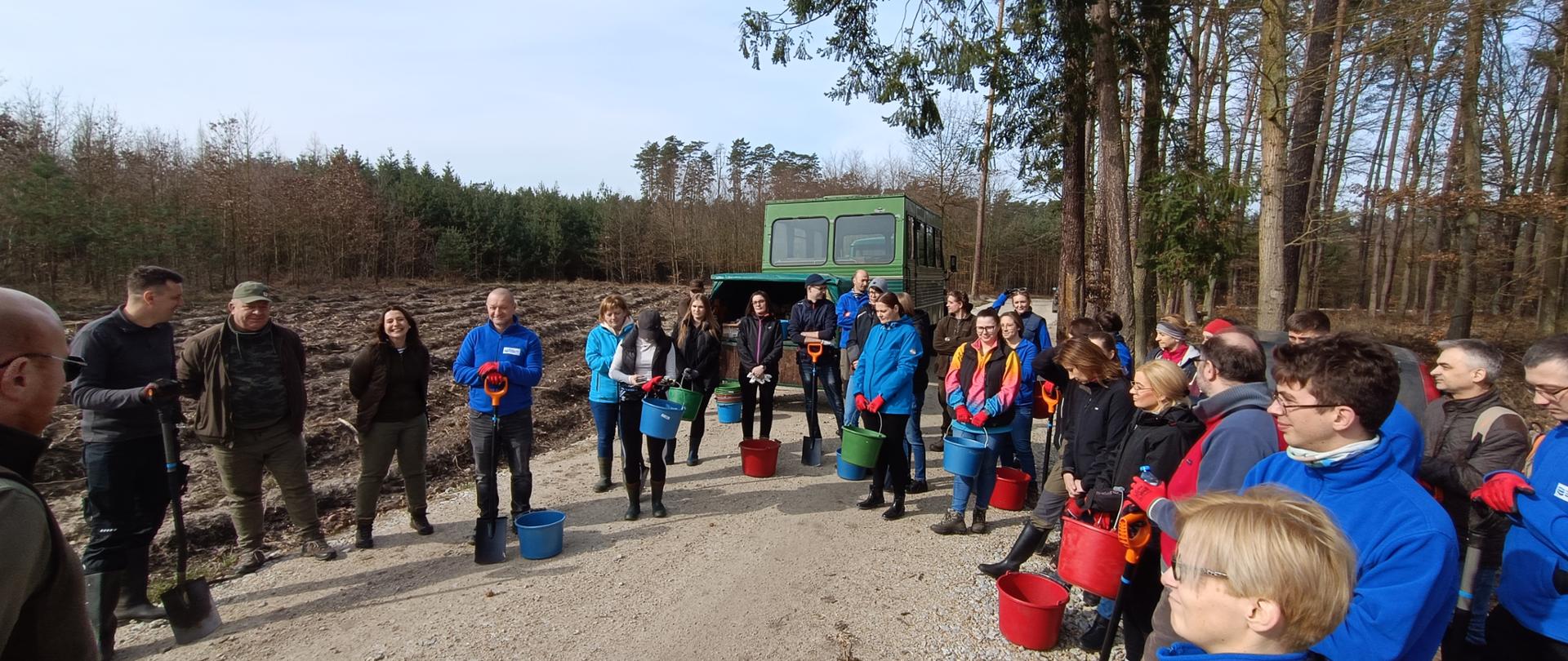 Akcja sadzenia lasu na terenie leśnictwa Gogołowice.