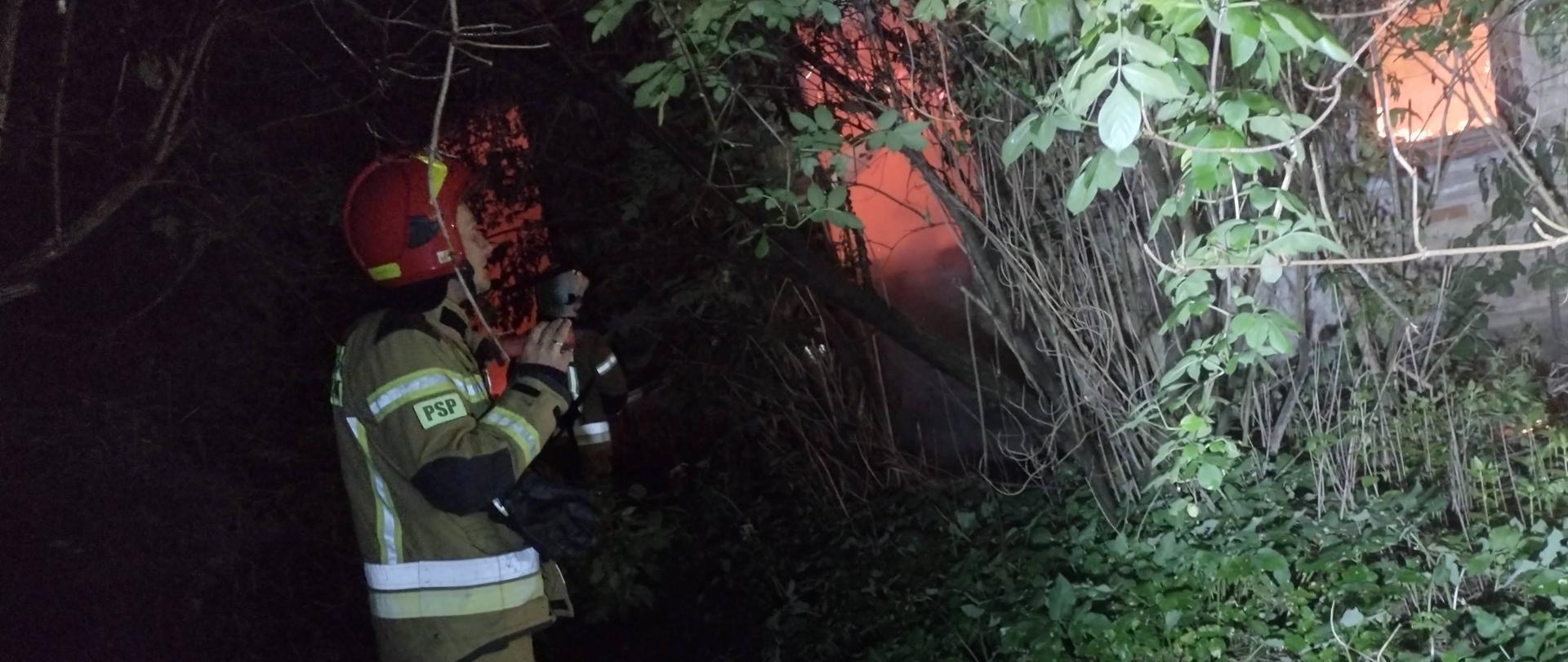 Na pierwszym planie strażak na wprost ogarniętego pożarem domu. Dom znajduje się wśród krzaków i zarośli 