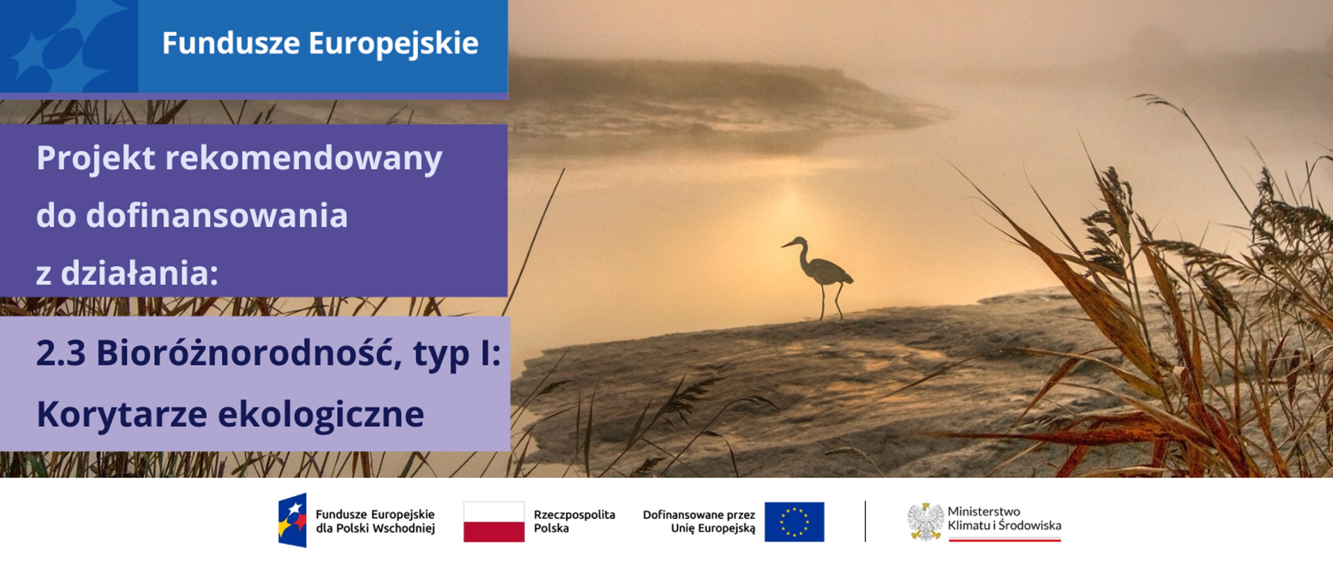 Zdjęcie przedstawia mglisty, jesienny poranek nad brzegiem rzeki. Sceneria utrzymana jest w złotej tonacji. Nad horyzontem wstaje słońce, przykryte mgłą. Na pierwszym planie są zarośla, w głębi, na środku zdjęcia widać żurawia kroczącego nad brzegiem zakola rzeki. Po lewej stronie jest logotyp programu Fundusze Europejskie z fioletowym paskiem, charakterystycznym dla programu Fundusze Europejskie dla Polski Wschodniej. Poniżej na ciemnofioletowej planszy jest napis: "Projekt rekomendowany do dofinansowania z działania:", a poniżej na jasnofioletowej planszy jest ciąg dalszy napisu: "2.3 Bioróżnorodność, typ I: Korytarze ekologiczne". Na samym dole na białym pasku jest ciąg znaków: FEPW, barw RP i EU oraz logotyp MKiŚ.