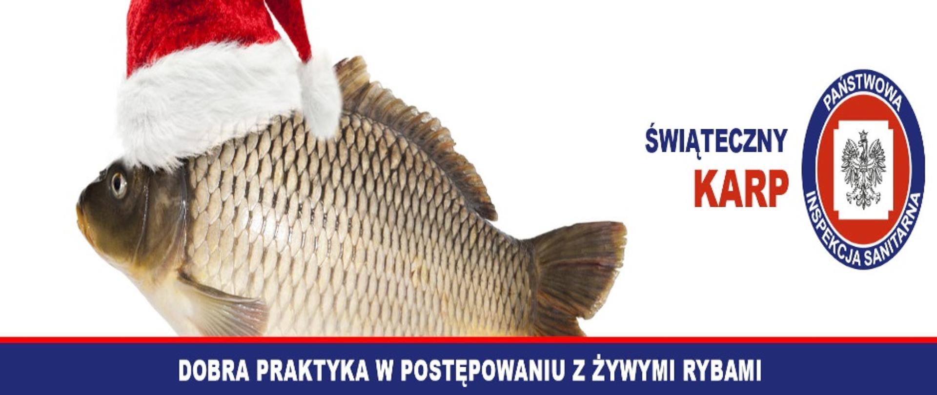 Po lewej stronie widzimy rybę - karpia który ma na sobie czapkę świąteczną czapkę. Po prawej stronie widzimy napis: " Świąteczny karp" oraz logo Państwowej Inspekcji Sanitarnej 