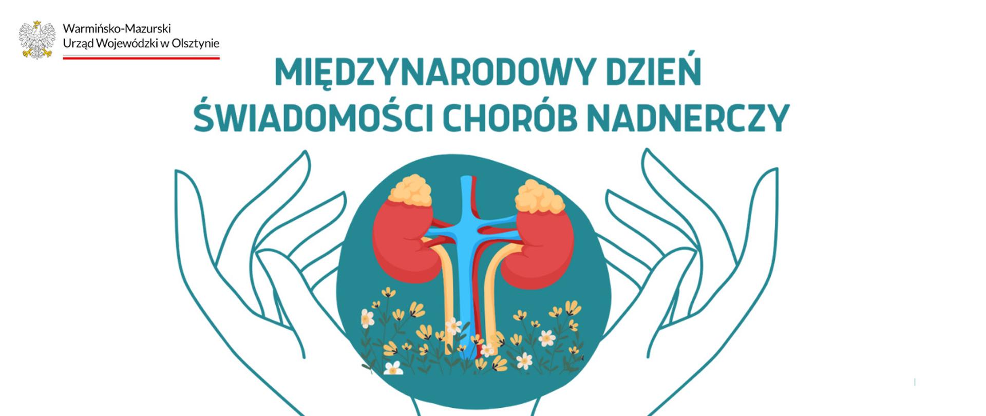 Międzynarodowy Dzień Świadomości Chorób Nadnerczy - grafika
