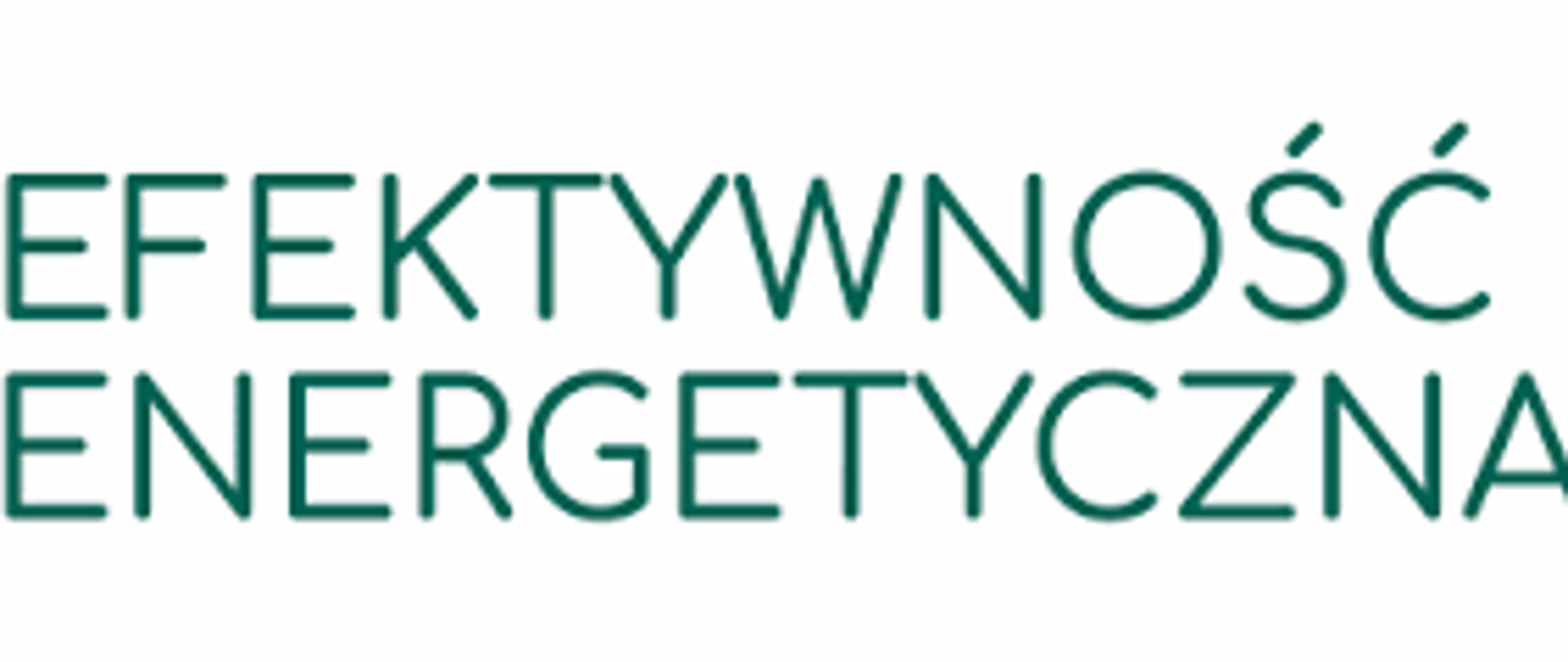 DEKLARACJA EFEKTYWNOŚCI 2025