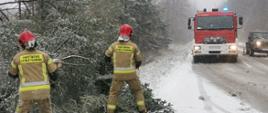 Funkcjonariusze PSP usuwający drzewo z jezdni, w tle samochód bojowy z włączonymi sygnałami świetlnymi