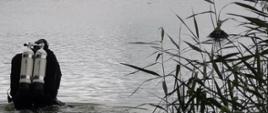 Dwóch nurków wchodzi do jeziora w oddali widać drugi brzeg. Po prawej stronie widoczne są trzciny. 