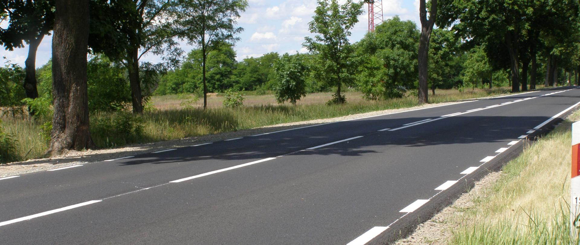 Droga jednojezdniowa, w sąsiedztwie łąki i przydrożne drzewa.