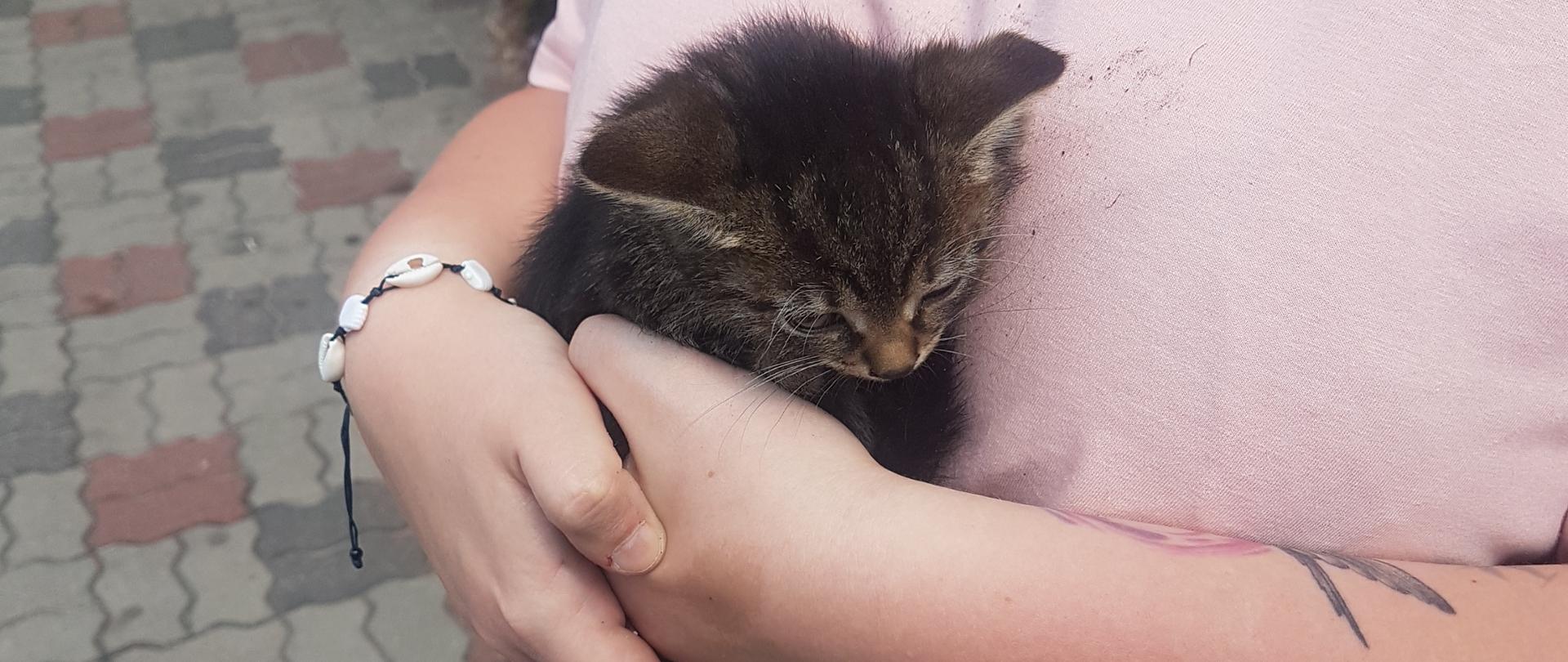 Uratowany mały kotek