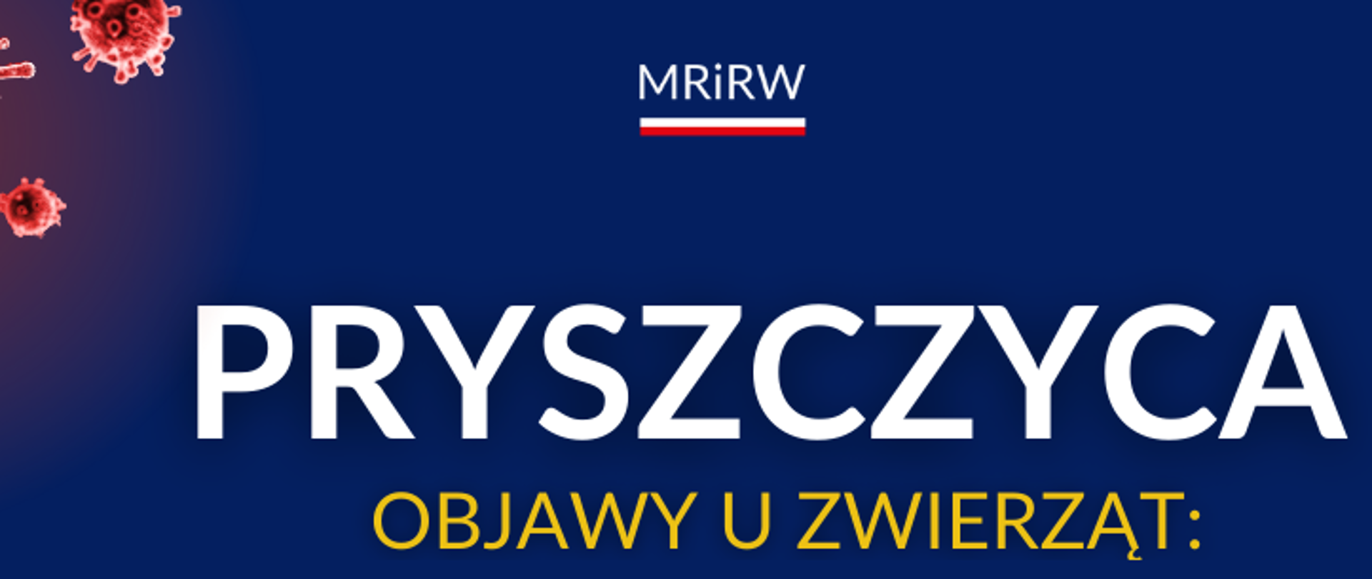 Pryszczyca – co to za choroba