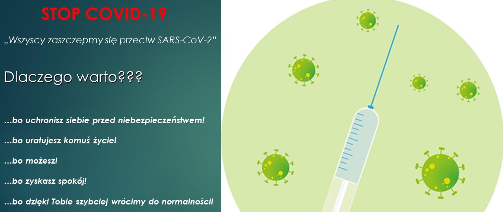 Plakat zielona igła