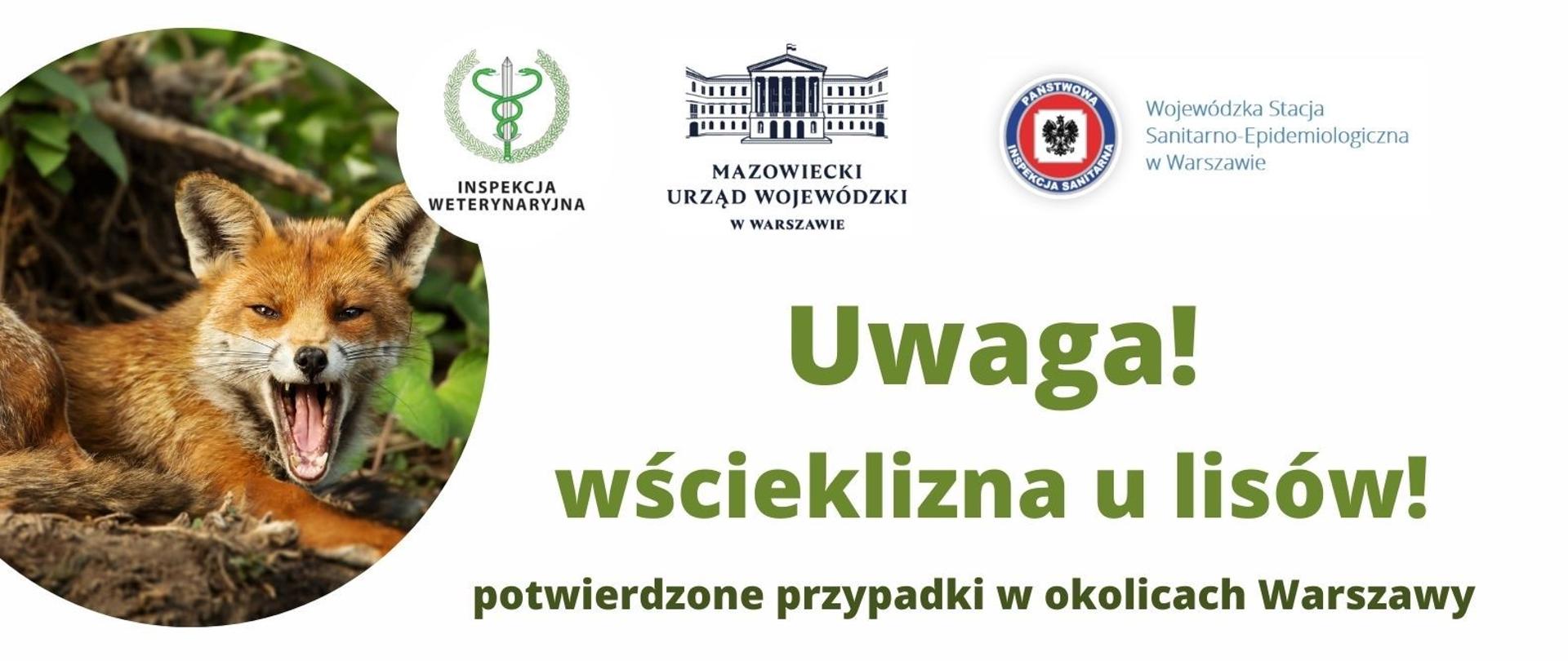 Plakat informujący o potwierdzonych przypadkach wścieklizny u lisów w okolicach Warszawy