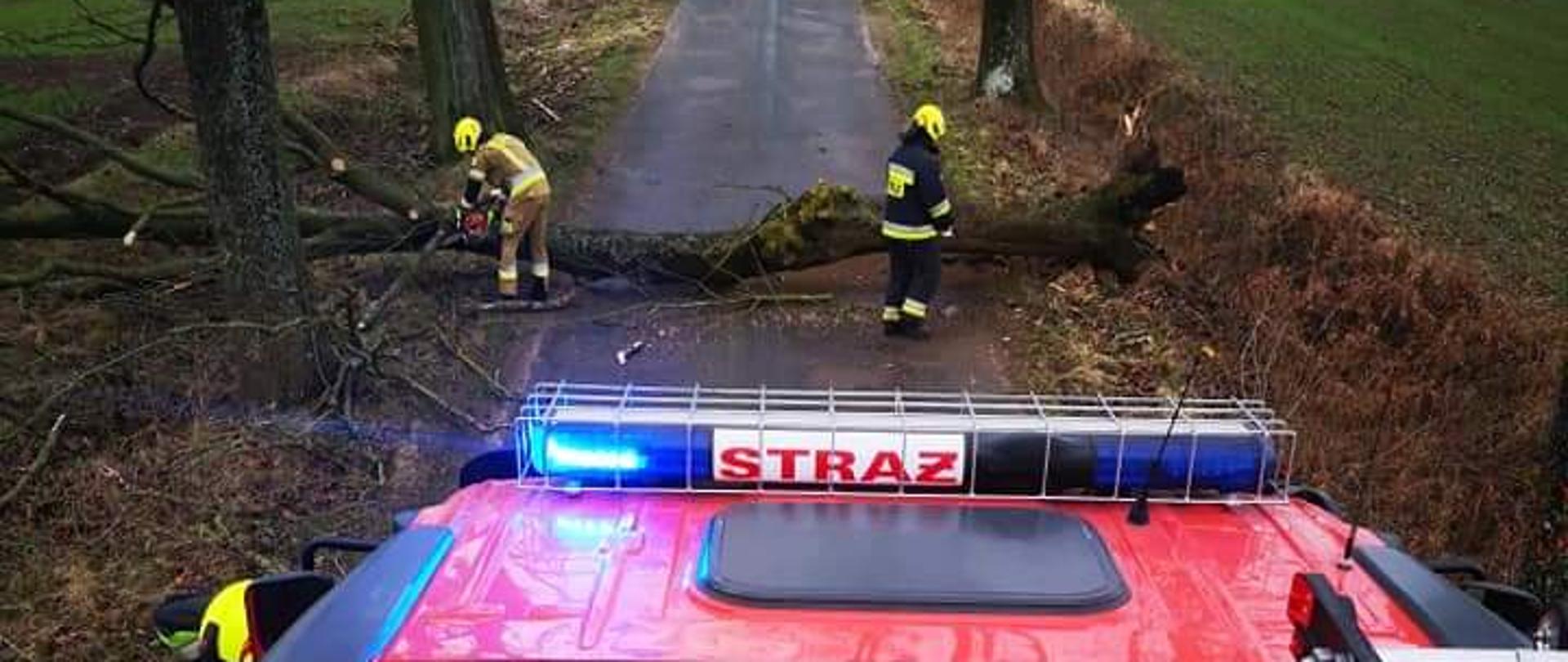 Zdjęcie przedstawia drogę asfaltową a na niej powalone drzewo, które całkowicie blokuje przejazd. Dwóch strażaków z piłami tną je. Zdjęcie wykonano z dachu wozu strażackiego i na pierwszym planie widać dach wozu strażackiego z numerami na dachu 559z3. W tle widzimy lasy i łąki.