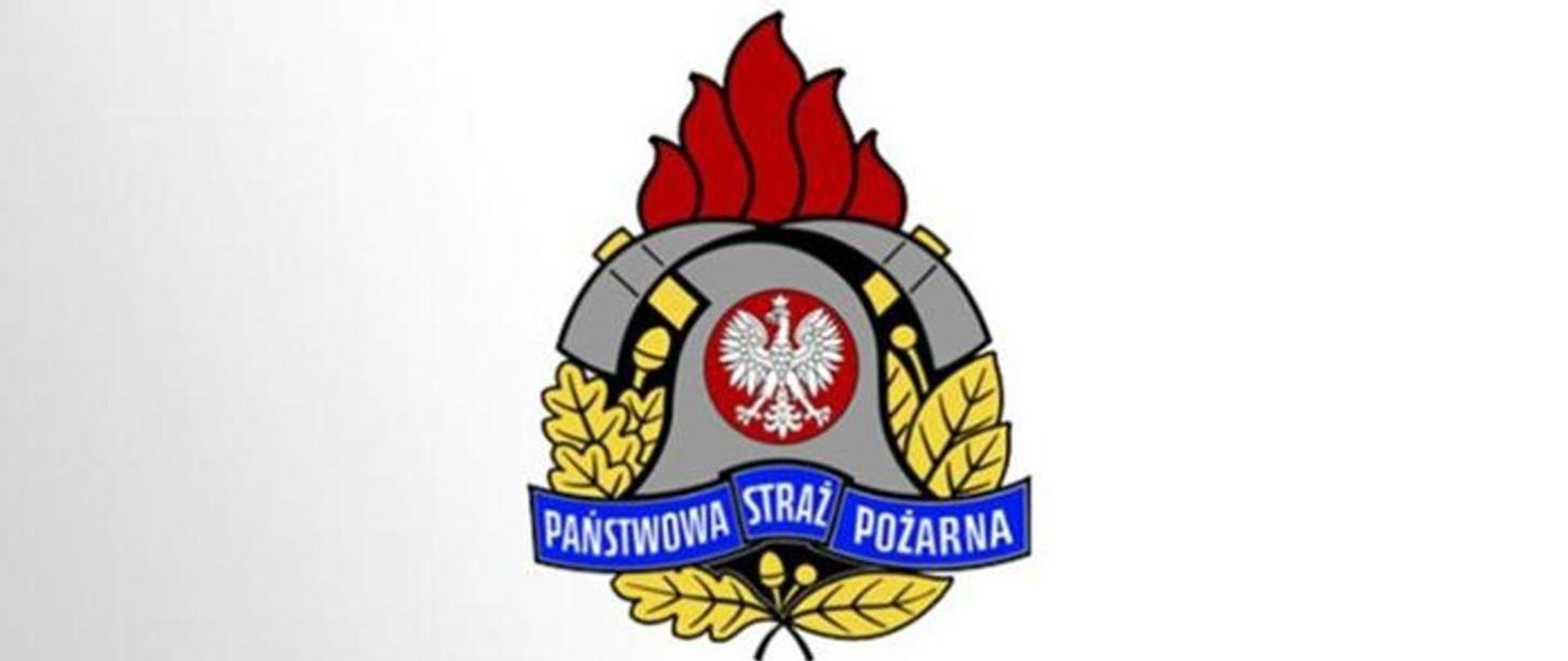 Zdjęcie przedstawia logo PSP