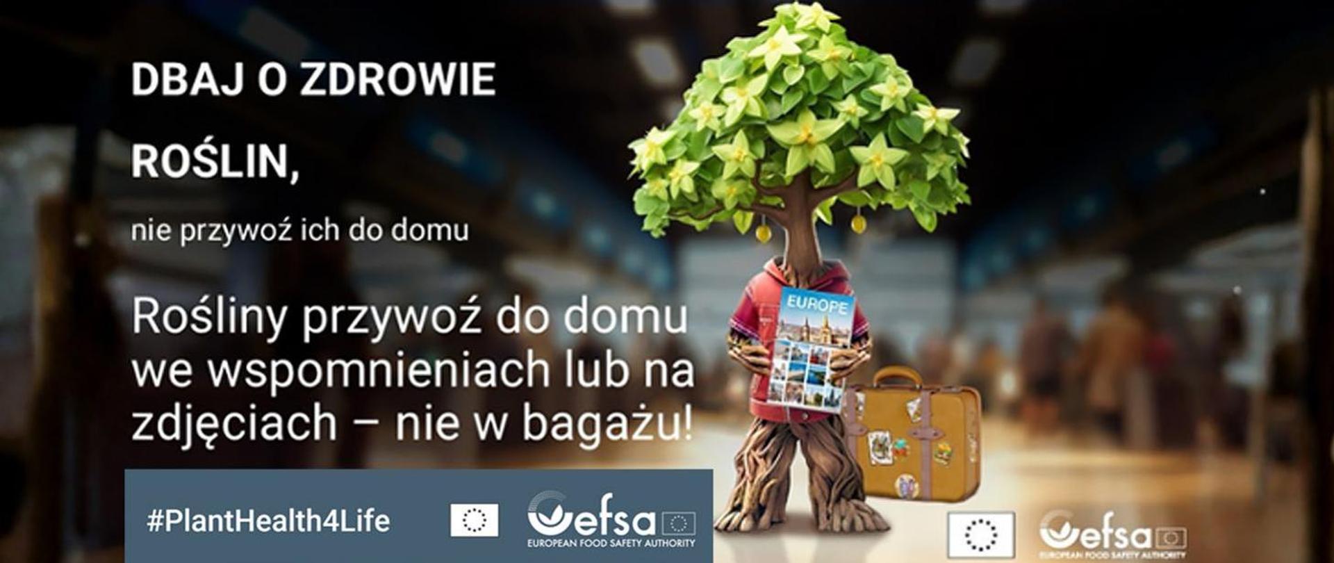 Dbaj o zdrowie roślin-nie przywoź ich do domu