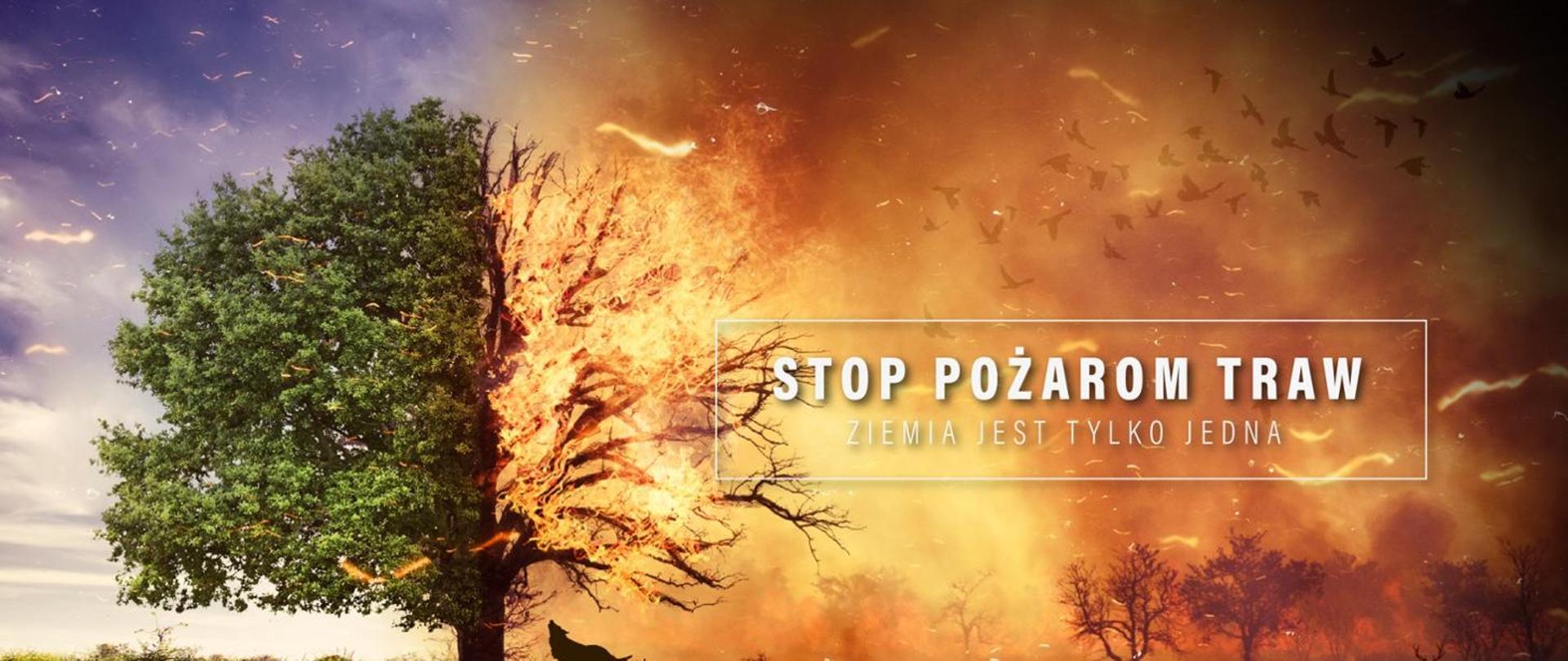 STOP POŻAROM TRAW 2020