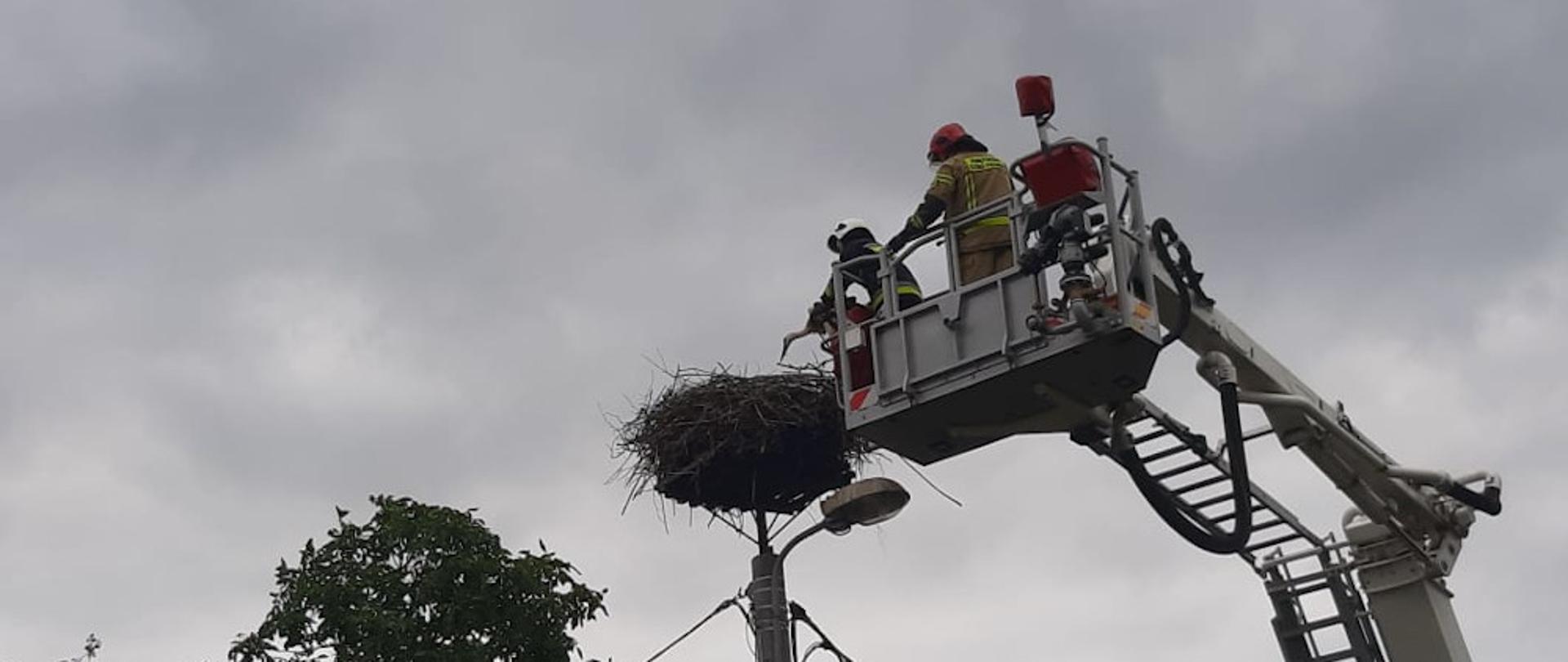Strażacy uratowali małego bociana w miejscowości Stary Chwalim 