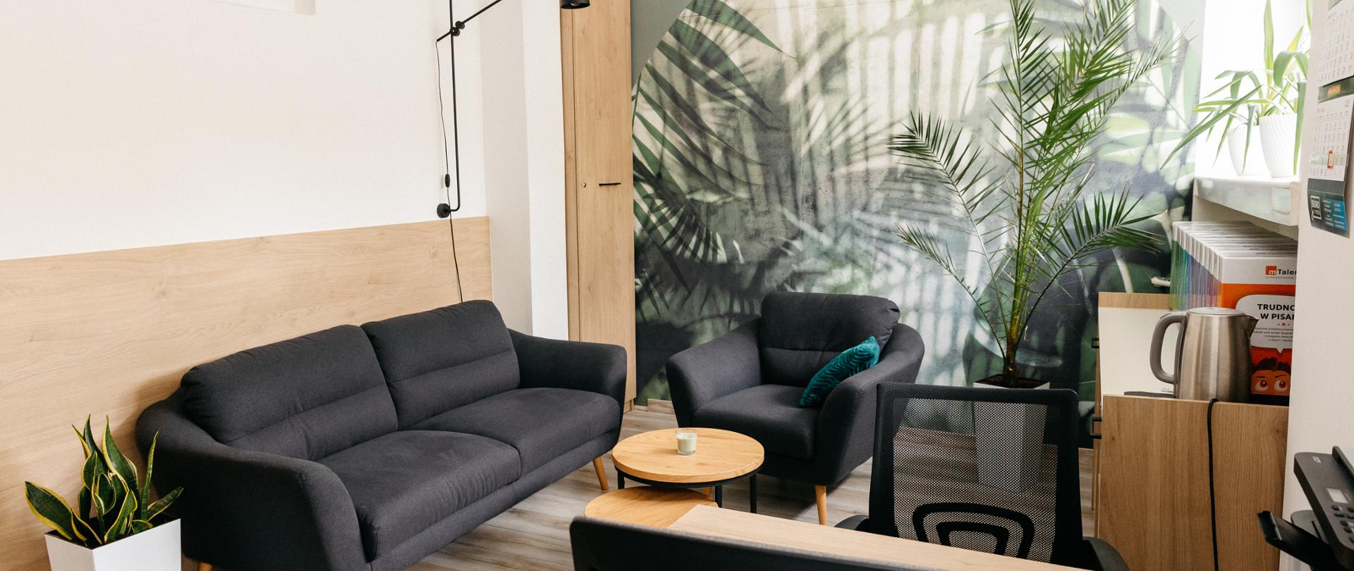 biurko, kanapa, regał