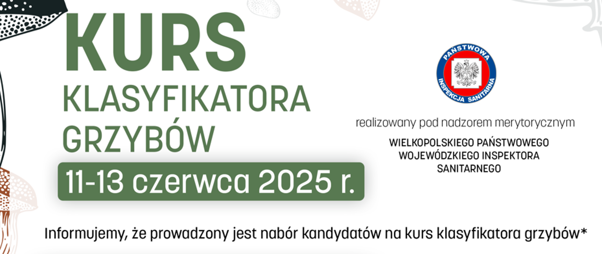 Kurs klasyfikatora grzybów 2025