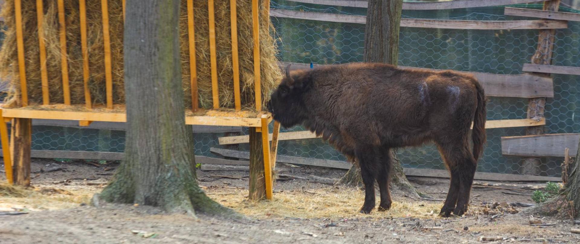 IMG-bd3fa5539eaf90656320fc3c23584d47-V