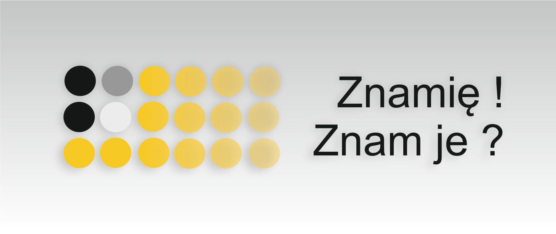 Na szaro-białym tle (szary przechodzi środka obrazka w dół i zmienia się kolor biały) znajduje się logo i napis: „Znamię! Znam je?”. Logo to czarne i szare kropki pośród rożnych odcieni żółtych kropek. 