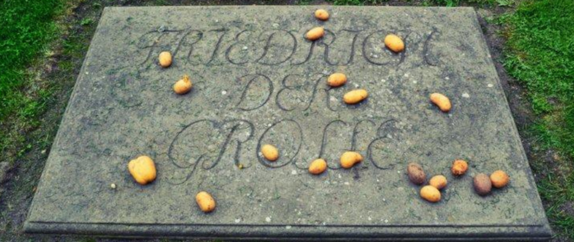 Zdjęcie przedstawia kamienną tablicę z napisem "FRIEDRICH II DER GROSSE". Na tablicy położone są bulwy ziemniaków.