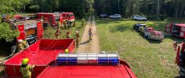 W lesie na polanie stoi kilka samochodów strażackich. Strażacy rozkładają czerwony zbiornik.