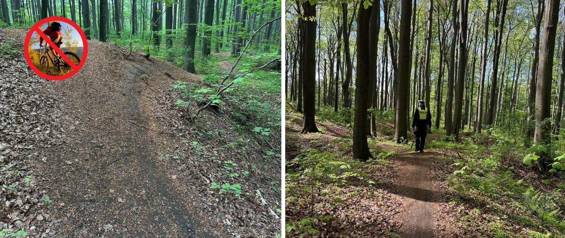 Rowerzyści niszczą rezerwat Segiet - patrole w rezerwacie