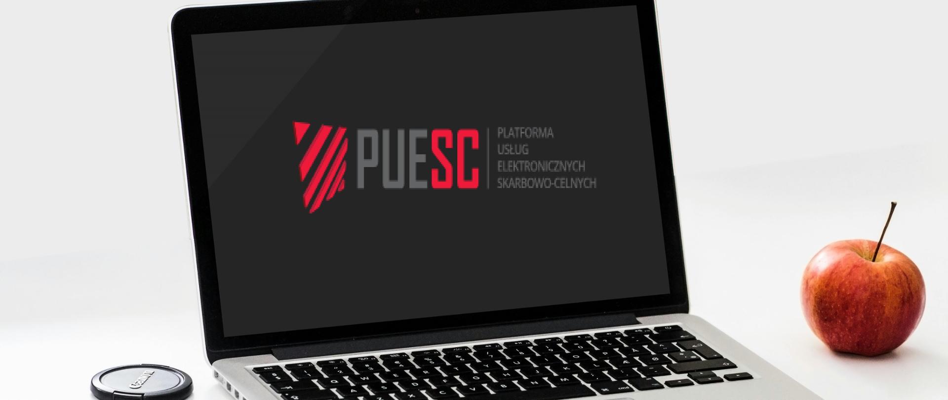 Single Window – elektroniczne wnioski o dokonanie granicznej kontroli sanitarnej