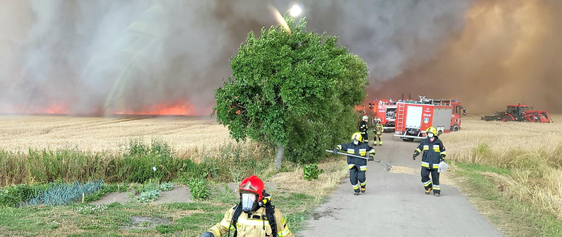 Zdjęcie przedstawia akcję gaśniczą strażaków podczas pożaru.