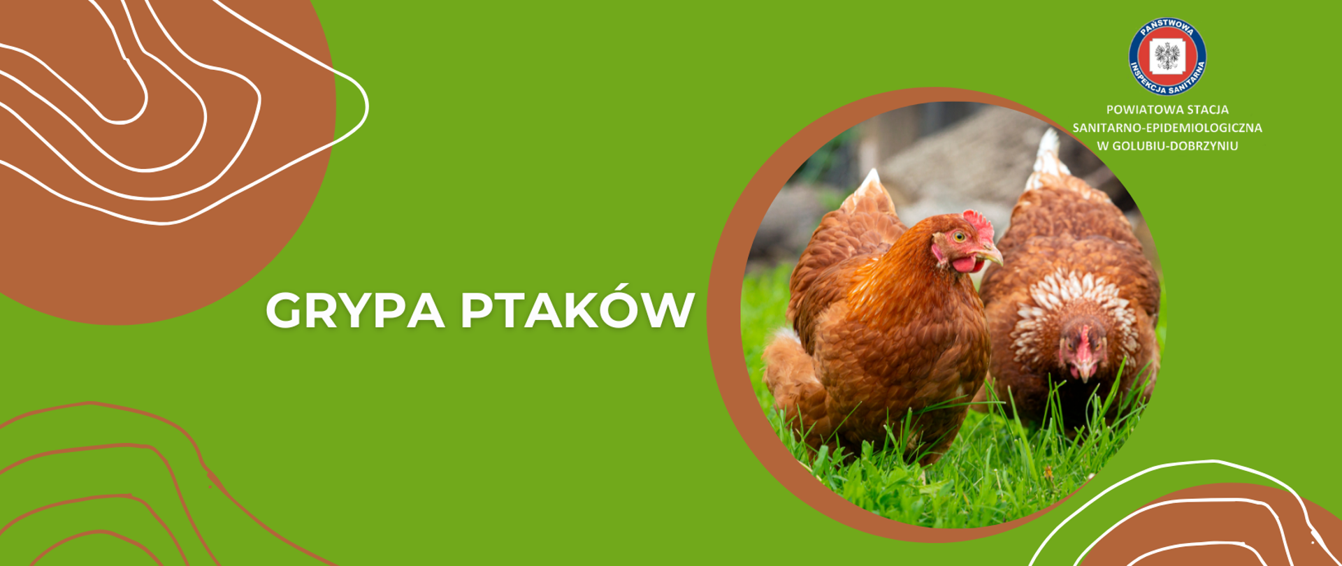 Strona tytułowa do artykułu na temat grypy ptaków