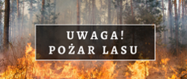 Na zdjęciu plakat przedstawiający pożar lasu i napis UWAGA POŻAR LASU
