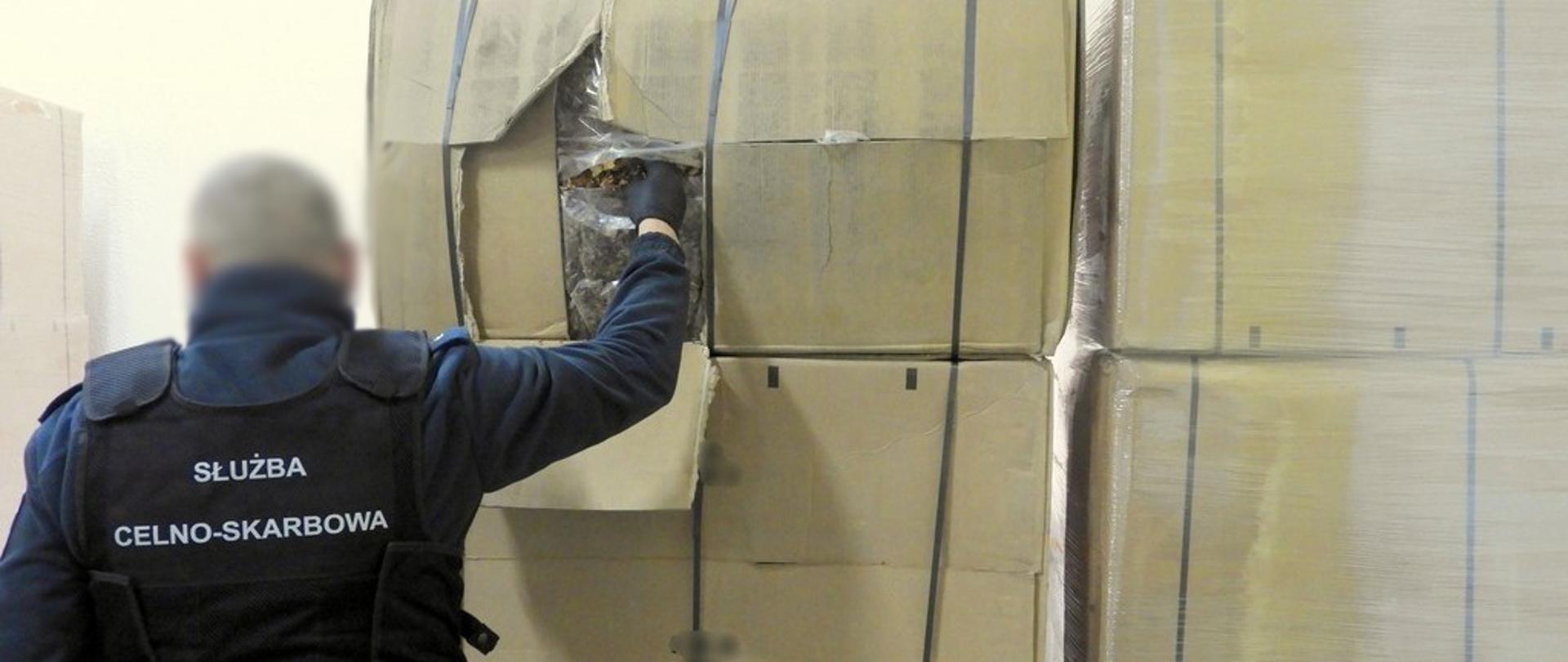 Funkcjonariusz KAS stojąc przed pudłami z suszem tytoniowym pokazuje ich zawartość