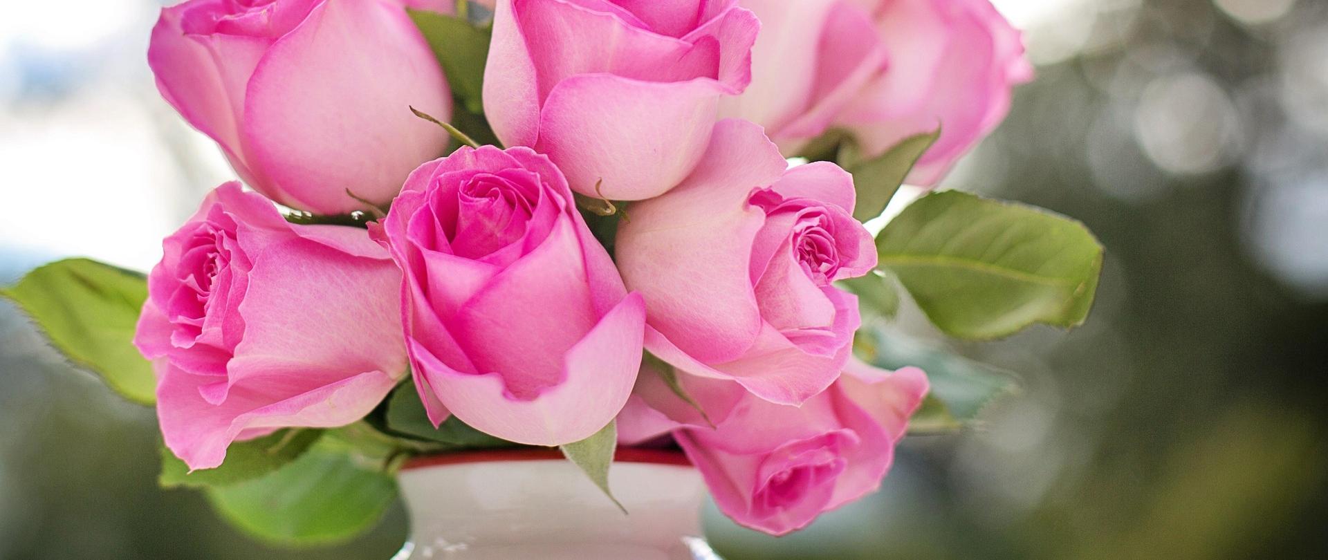 Na zdjęciu widoczny jest bukiet róż w kolorach od jasnego do ciemnego różu. Róże umieszczone są w ceramicznym wazonie, za nimi w tle rozmyte błękitne niebo i zieleń drzew.