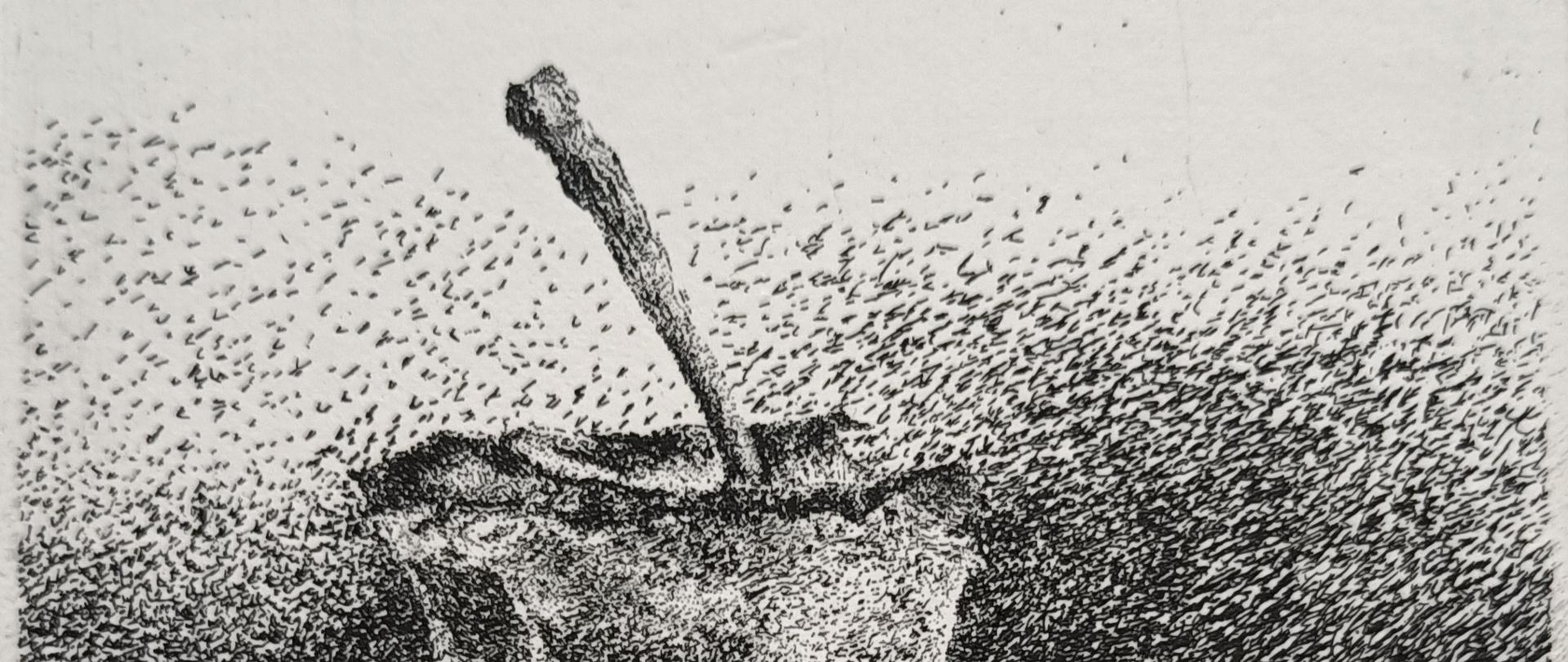 Grafika przedstawiająca ogryzek