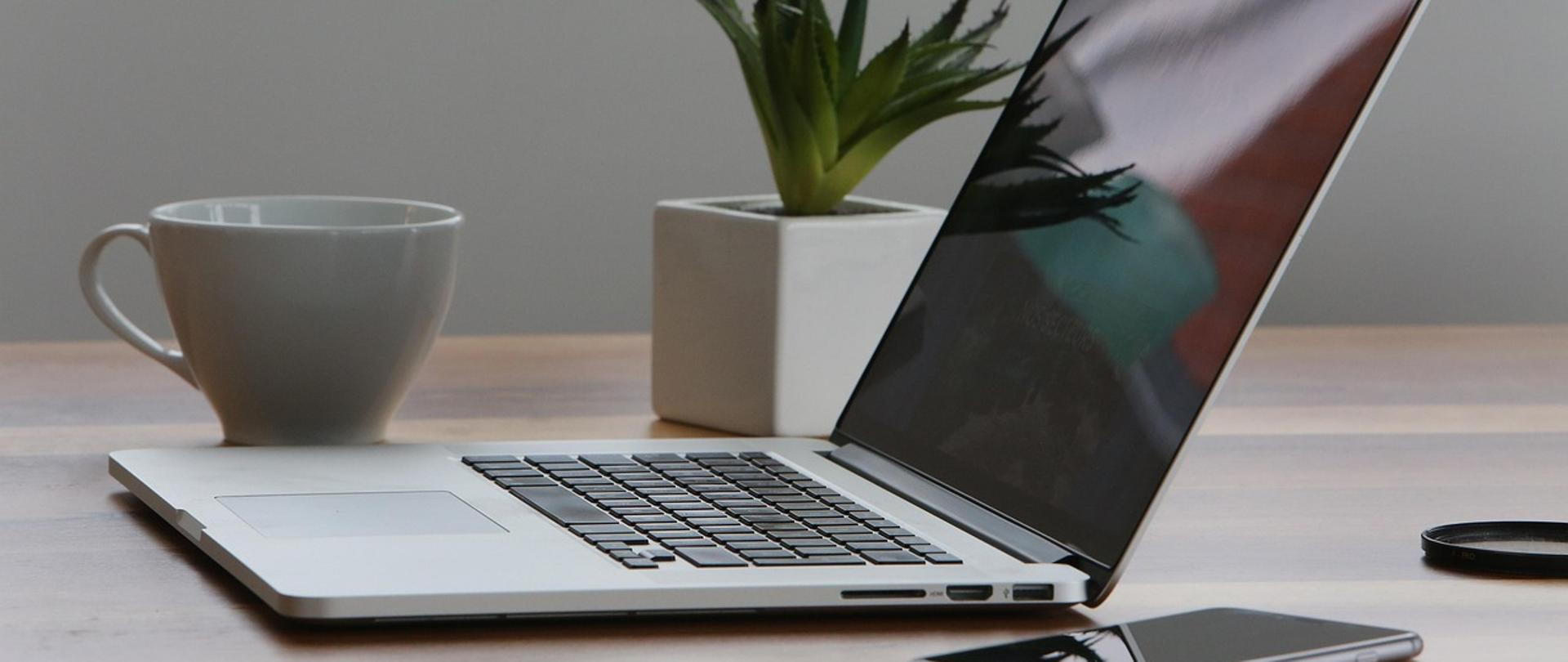 Laptop, filiżanka, kwiatek i telefon leżą na biurku. 