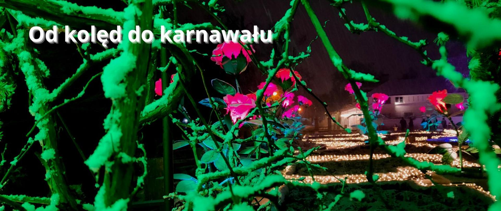 zdjęcie - oświetlony kolorowymi światłami ogród nocą; w lewym górnym rogu napis "od kolęd do karnawału"