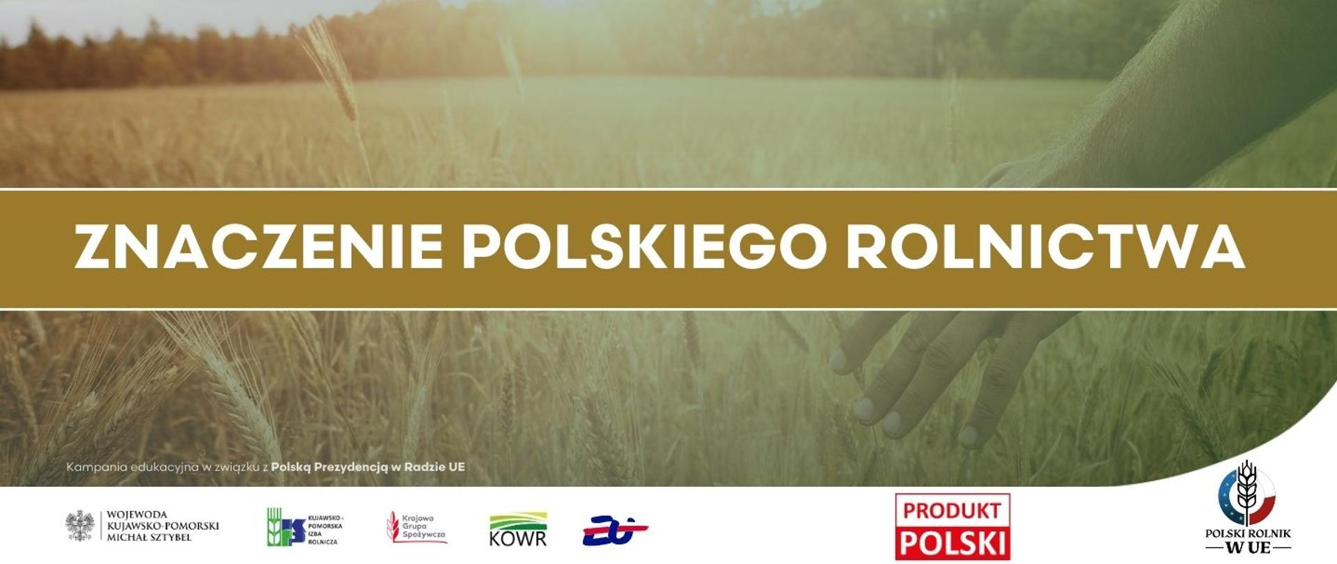 dłoń dotykająca łany pszenicy na polu. Na pierwszym planie napis Znaczenie polskiego rolnictwa