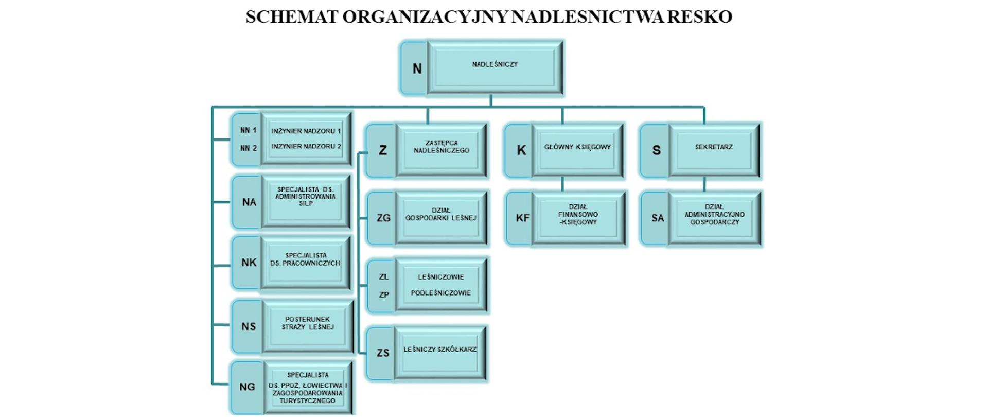 Schemat przedstawiający strukturę organizacyjną Nadleśnictwa Resko 