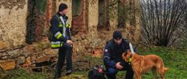 Zdjęcie przedstawia dwóch ratowników z psem ratowniczym przy ruinach budynku podczas poszukiwań osoby zaginionej