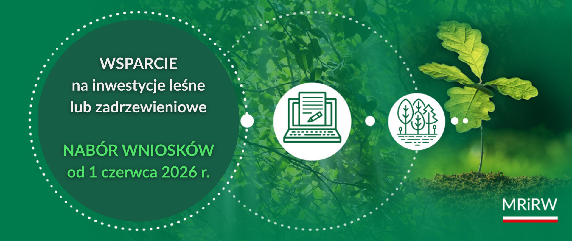 Wsparcie na inwestycje leśne lub zadrzewieniowe