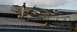 Pożar lakierni. Teren jednej z firm w miejscowości Dłoń. Widok na fragment częściowo zniszczonego przez pożar dachu budynku. 