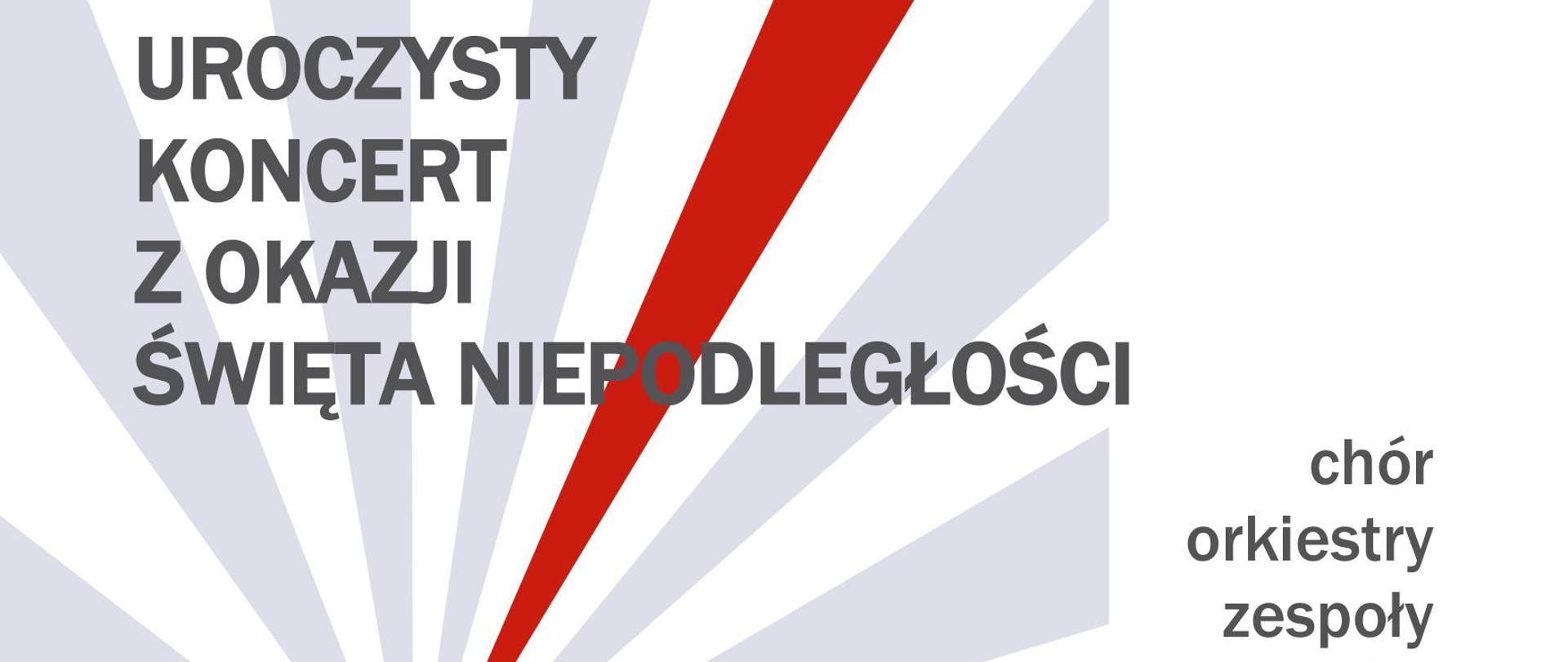 Główny motyw grafiki to rozłożone koncentrycznie figury geometryczne przypominające promienie. Rozchodzą się promieniście z centralnego punktu, jakby z głębi plakatu na zewnątrz, tworząc wrażenie przestrzenne. Promienie są w kolorze jasnoszarym ale jeden z nich ma kolor biało czerwony i kojarzy się z polskimi barwami narodowymi. Na plakacie umieszczono informacje literami w kolorze ciemno szarym o następującej treści: u góry: "UROCZYSTY KONCERT Z OKAZJI ŚWIĘTA NIEPODLEGŁOŚCI", po prawej: "chór, orkiestry, zespoły, soliści", u dołu: "piątek 10 listopada godzina 17.00 AULA PSM w ZAMOŚCIU".