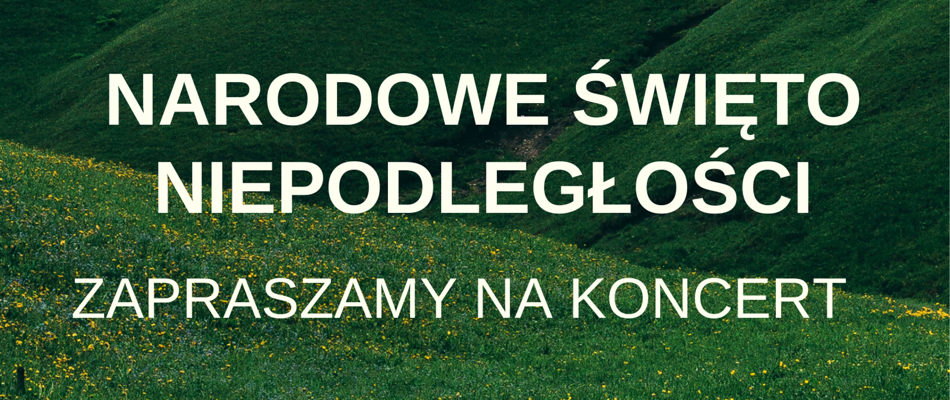 Na tle łąki z drzewami tekst w kolorze białym "A to Polska właśnie, Narodowe Święto Niepodległości, zapraszamy na koncert, 12 listopada 2024, godzina 17".