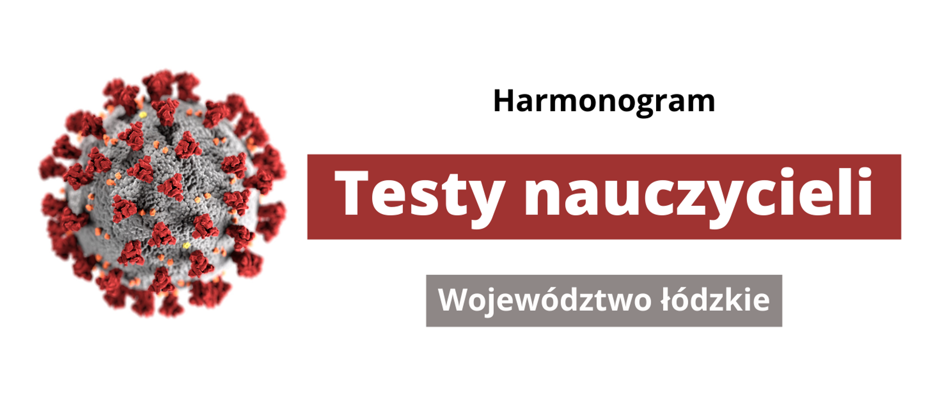 Harmonogram. Testy nauczycieli. Województwo łódzkie. Grafika przedstawiająca koronawirusa.