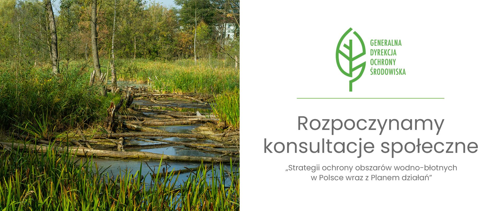 Światowy Dzień Mokradeł