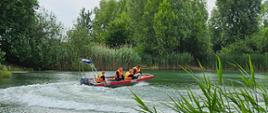 Strażacy w pomarańczowych kamizelkach ratunkowych płyną łodzią motorową po niewielkim zbiorniku wodnym otoczonym gęstą roślinnością i drzewami. Woda jest spokojna, a w tle widać zarośla trzcinowe. Ćwiczenia odbywają się w naturalnym środowisku.
