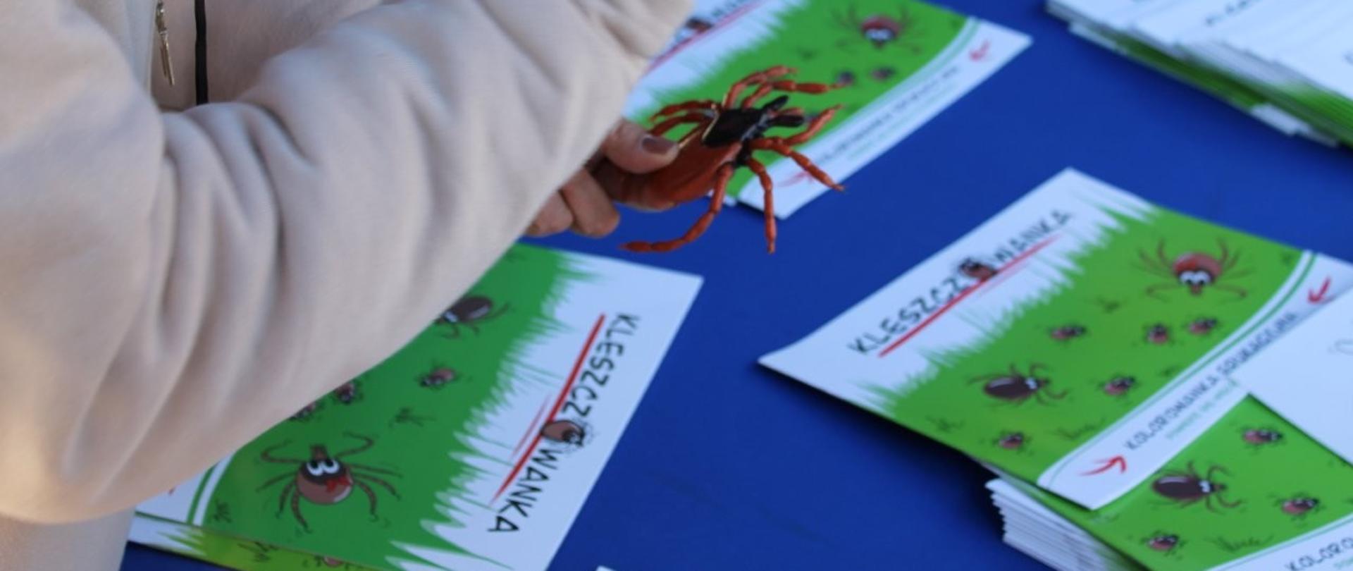 Przedstawiciel Wojewódzkiej Stacji Sanitarno-Epidemiologicznej w Kielcach podczas wykładu i pokazującego powiększony model Kleszcza. Na stole znajdują się Kolorowanki Edukacyjne KLESZCZOWANKI.