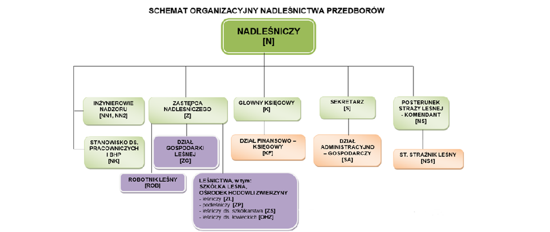 Schemat organizacyjny Nadleśnictwa Przedborów